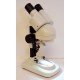 Dětský mikroskop Model STX-2
