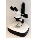 Stereoskopický mikroskop Model STM 711 24 A