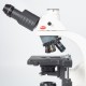 Laboratorní mikroskop Model BA 310E-T HAL/∞