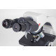 Mikroskop Model BA310 LED Bino PHASE