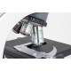 Mikroskop Model BA310 LED Trino PHASE