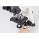 Mikroskop STELLAR 1-TB