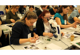 3v5a5817-55099181558-o1