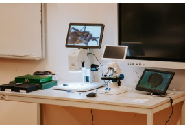 pedfuk-kbes-konference-13-55087313042-o2