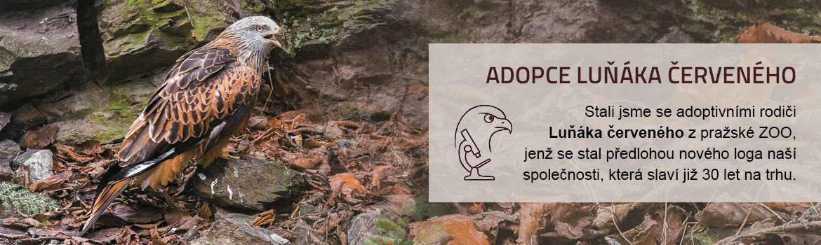 Adopce luňáka červeného